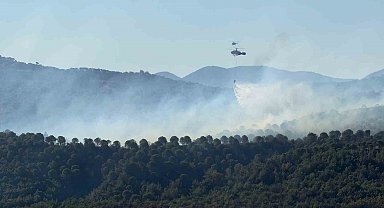 Balıkesir Gömeç yangını 3. gününde.
