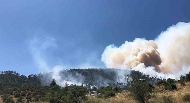 Balıkesir Kepsut'ta orman yangını