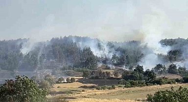 Balıkesir'de orman yangınına müdahale sürüyor