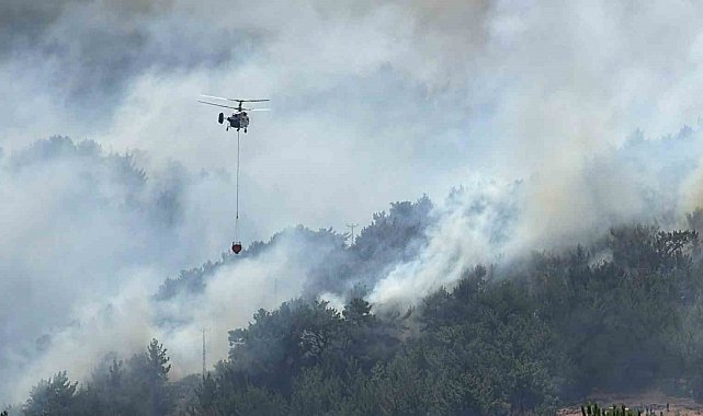 Balıkesir'de tek yangın cephesi: Gömeç