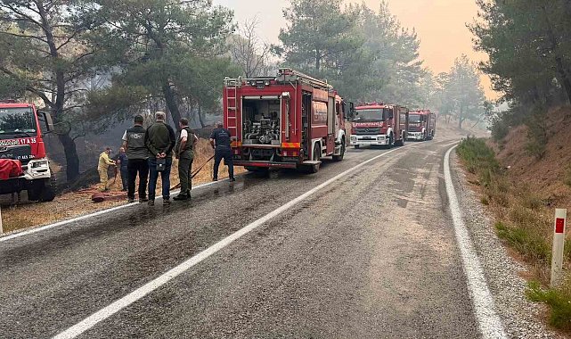 Balıkesir'deki yangın sebebiyle Ayvalık Bergama yolu trafiğe kapatıldı