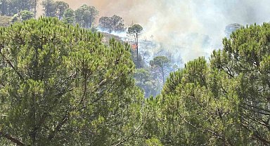 Balıkesir'deki yangın tekrar yayılıyor