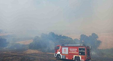 Bandırma'da 4 ayrı noktada başlayan arazi yangını söndürüldü