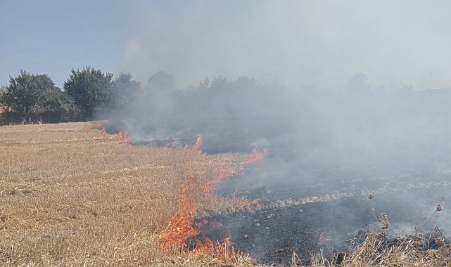 Bandırma'da anız ve çalılık alanda çıkan yangın söndürüldü