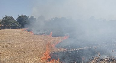 Bandırma'da anız ve çalılık alanda çıkan yangın söndürüldü