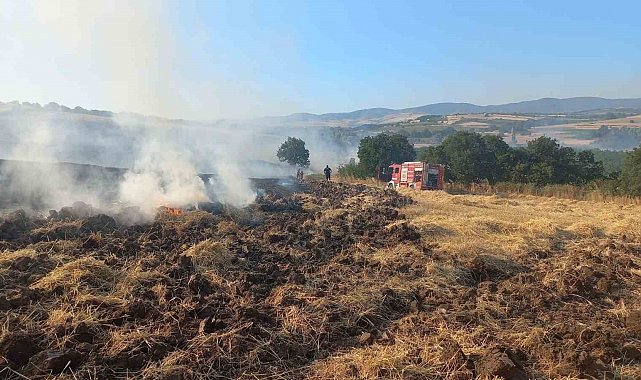 Bandırma'da buğday tarlasında çıkan yangın ekiplerin müdahalesiyle söndürüldü