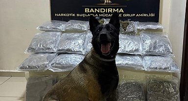 Bandırma'da gübre torbalarının altına gizlenen 11,2 kilo skunk ele geçirildi