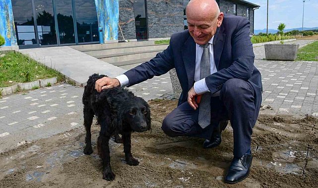 Başkan Kul: "Bin hayvan kapasiteli modern tesisi kısa sürede tamamlayacağız"