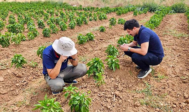 Başmakçı'da sebze ekili alanlar kontrol edidldi