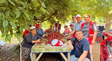 Bayındırlı gençler kiraz hasadına katıldı, üreticilere destek verdi