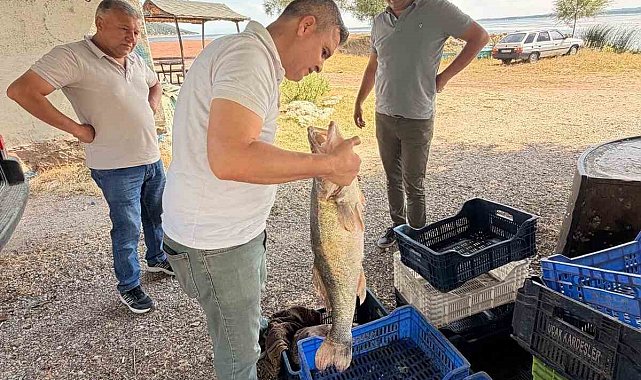 Beyşehir Gölü'nde avlanan balıklar tek tek kontrol edildi