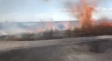 Biçerdöverden sıçrayan kıvılcım tarım arazisini kül etti