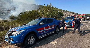 Biçme makinesinden çıkan kıvılcım ormanı yaktı, aracın operatörü gözaltına alındı