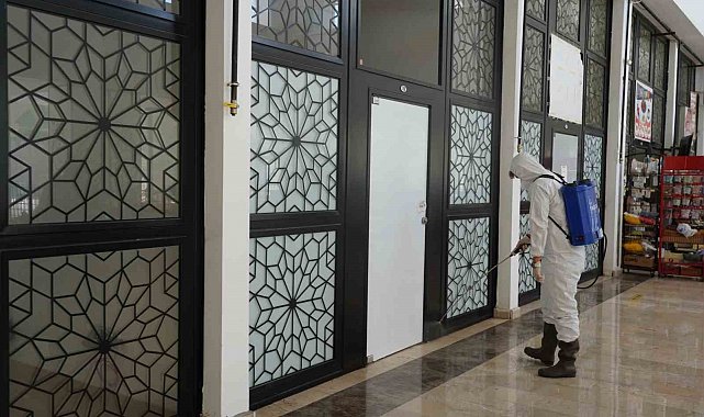 Bilecik Belediyesi'nden çekirgelere karşı erken önlem