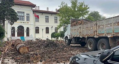 Bilecik Valiliği bahçesindeki dev çam ağaçları kesildi