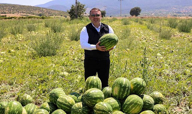 Bilecik'te 62 bin tonluk karpuz hasadı bekleniyor