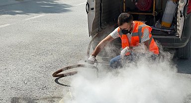 Bilecik'te sivrisinek ve larvalara geçit yok