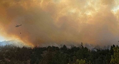 Bilecik'teki orman yangını 3 saatin ardından kontrol altına alındı