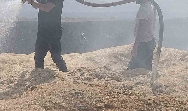 Bingöl'de arazi yangını: 2 bin dönüm arazi zarar gördü