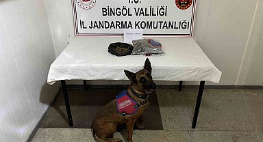 Bingöl'de haklarında kesinleşmiş hapis cezası bulunan 4 zanlı tutuklandı