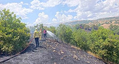 Bingöl'de orman yangını büyümeden söndürüldü