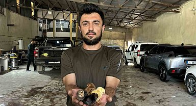 Bir belgesel izledi, hayatı değişti: Oto yıkama dükkanından tavukçuluk fabrikasına uzanan azim hikayesi