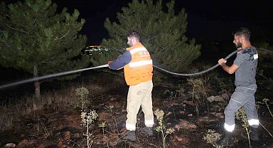 Bir kuş çam ormanlarını alevlerin eşiğine getirdi: Yangın büyümeden söndürüldü