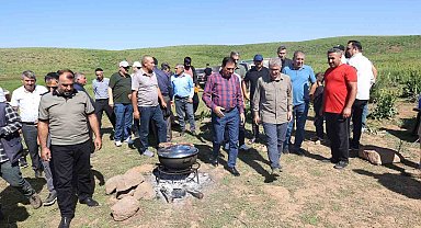 Bir zamanlar güvenlik nedeniyle kullanılamayan yaylalar, bugün hayvancılığın merkezi oldu