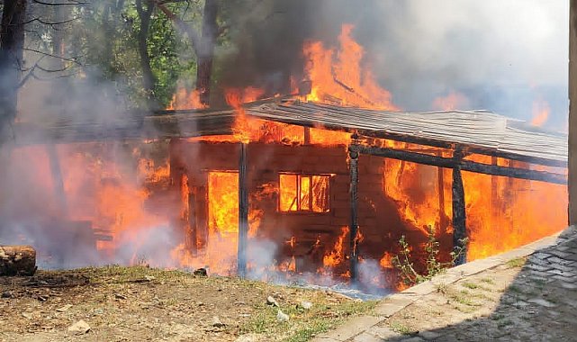 Bitlis'te kereste atölyesinde yangın: Ev, atölye ve mezarlık zarar gördü