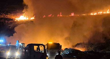 Bodrum'da makilik alanda yangın