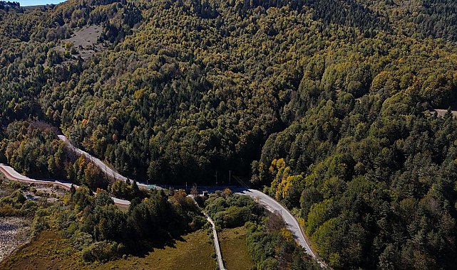 Bolu'da ormanlara giriş 30 Eylül'e kadar yasaklandı