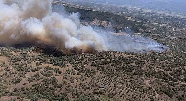Bozdoğan'da ziraat alanında yangın çıktı