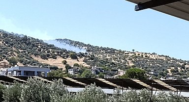 Bozdoğan'da zirai alan yangını