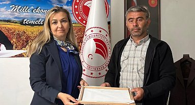 Burhaniye'de ipek böcekçiliğinde ilk kozalar hasat edildi