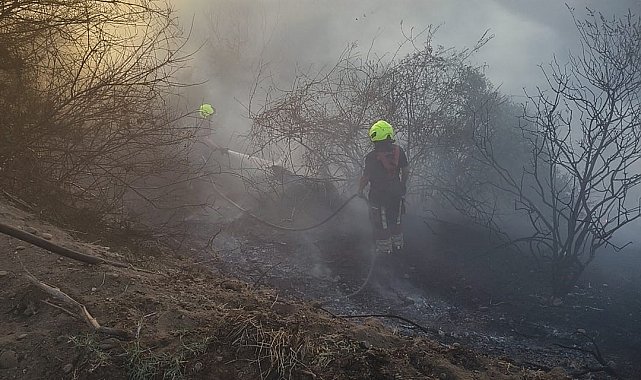 Burhaniye'de ot yangınını itfaiye söndürdü