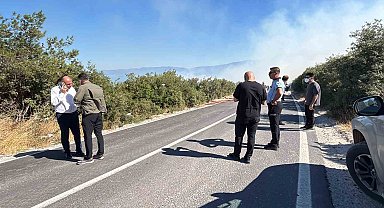 Bursa'da ormanlık alanda yangın çıktı
