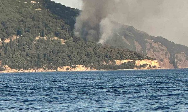 Büyükada'da plajda yangın paniği