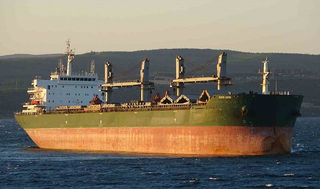 Çanakkale Boğazı'nda dökme yük gemisi karaya oturdu
