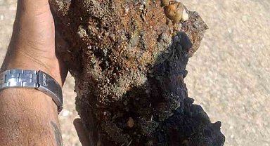 Çanakkale'de plajda patlamamış askeri mühimmat bulundu