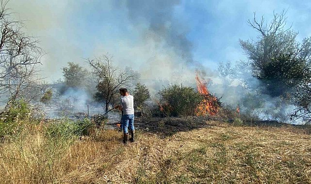 Çankırı'da örtü yangını ağaçlık alana sıçradı