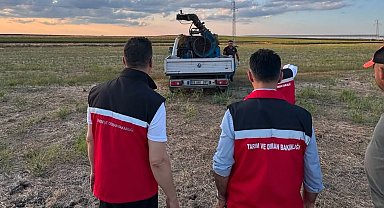 Çekirge üreme alanları ilaçlandı