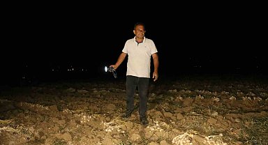Çiftçilerin "beyaz altın" nöbeti: Bir yıllık emekleri için sabaha kadar tarlada bekliyorlar