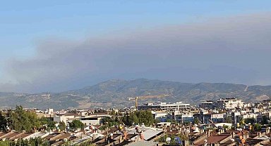 Çine yangının dumanları Efeler'e ulaştı