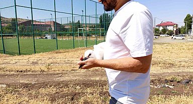 Defalarca yuvadan düşen yavru leylek doğaya bırakıldı