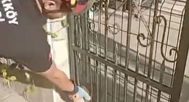Demir kapıya sıkışan kirpiyi böyle kurtardılar