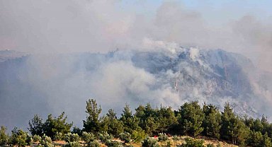 Denizli'deki orman yangını kısmen kontrol altına alındı