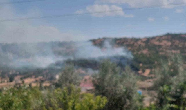 Dicle'de örtü yangını