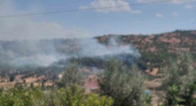 Dicle'de örtü yangını
