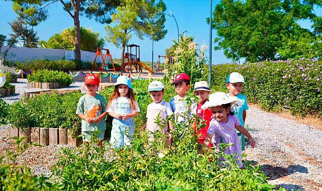 Didim Belediyesi Tarım Parkı'nda minikler hasat deneyimi yaşadı
