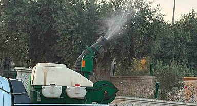 Didim'de halk sağlığı için ilaçlama seferberliği